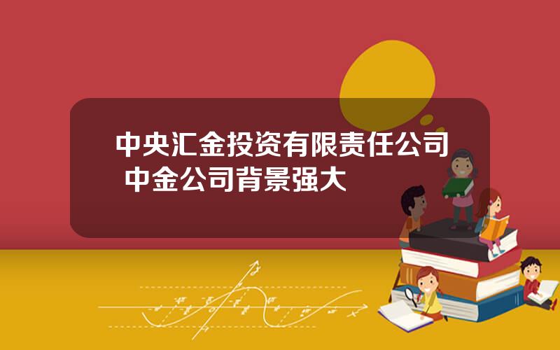中央汇金投资有限责任公司 中金公司背景强大